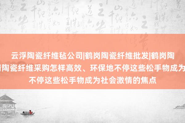 云浮陶瓷纤维毡公司|鹤岗陶瓷纤维批发|鹤岗陶瓷纤维报价|鹤岗陶瓷纤维采购怎样高效、环保地不停这些松手物成为社会激情的焦点